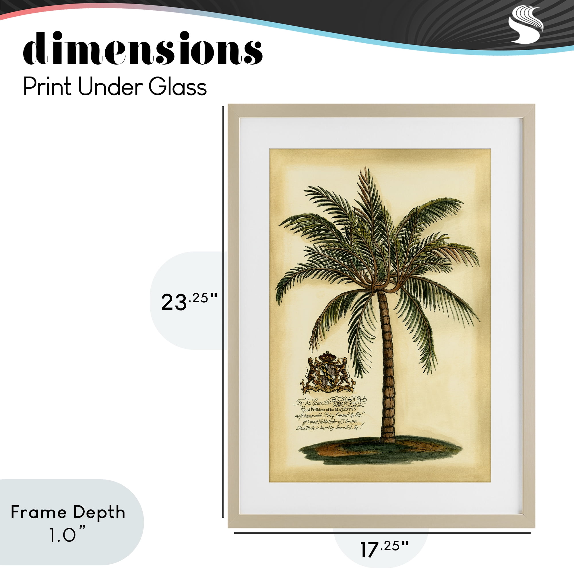 Stupell Industries British Colonial Palm Birch Framed Print Under Glass, design by Vision Studio