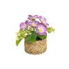 E/Purple