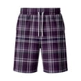 thumbnail image 4 of Delconic Men Neutral Tartan Plaid Quick Dry Knee Length Casual Shorts Elastic Drawstring Waist Side Pockets Loose Fit Short Pants For Summer Beach Gym Hiking Daily Dark Gray 5XL, 4 of 5