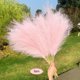 thumbnail image 5 of Artificial Dried Pampas Grass Reeds Bunch for Home Decor Baoblaze none, 5 of 8