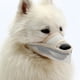 thumbnail image 3 of Máscara De Perro Yuyangstore Hocico Duradero Beige, 3 of 8
