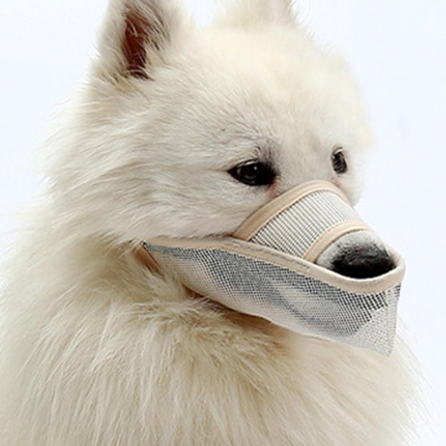 Malla potable para mascotas Colco Hocico duradero antiladridos Lick Beige