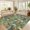 green, variant on Danolapsi Area Rugs,Flower Print Dining Room Rugs, Non-Shedding Modern Accent Carpet, Foldable Low Pile Indoor Floor Mat, Easy Cleaning, for Living Room, Bedroom, Office