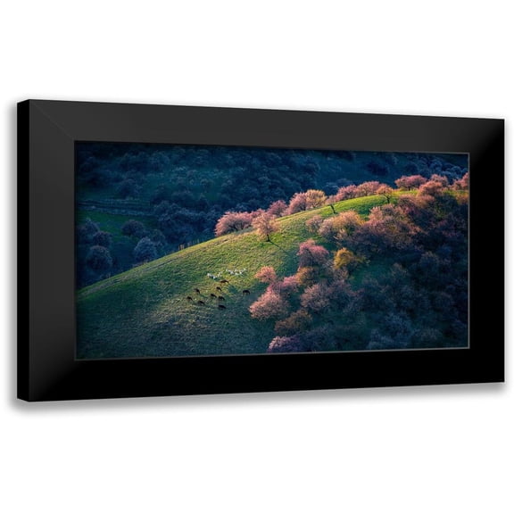 Zhu, Hua 14x10 Black Modern Framed Museum Art Print Titled - Sunset in the primitive wild apricot forest