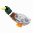 thumbnail image 2 of Grriggles Squawk Flock Dog Toys Mallard, 2 of 2