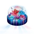 thumbnail image 3 of 4M : Crystal Growing Light-Up Display, 3 of 3