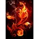 thumbnail image 1 of Diamond Drill Flame Flower 5D Kits de pintura DIY Decoración de pared redonda completa (B5484) Hugtrwg Para estrenar, 1 of 9