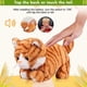 thumbnail image 3 of Pattern Yellow Plush Cat Stuffed Animal Interactive Cat Robot Toy, Barking Meow Kitten Touch Control Toy Cat for Girl Baby L:12" * H:8" * W:5, 3 of 4