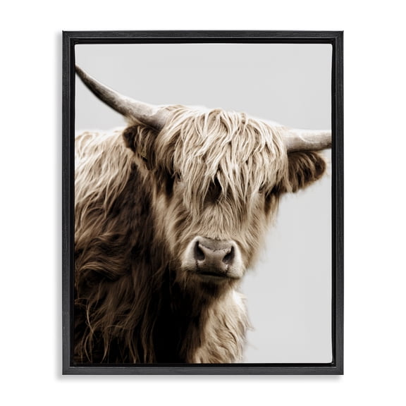 Stupell Industries Rustic Lodge Wooly Cattle Portrait Black Floating Frame Canvas Art, 17 x 21, by Danita Delimont