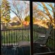 thumbnail image 4 of 2026 Window Bird Anti-Collision Stickers, Glass Door Protection and Save the Birds, Reflection, 12 Pcs, Clear, 4 of 5