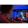 thumbnail image 4 of Grava para acuarios GloFish negra con detalles fluorescentes, 2,27 kg, 4 of 8