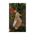thumbnail image 1 of Brushart BRUSHOR53 Duck Ornament, 1 of 1