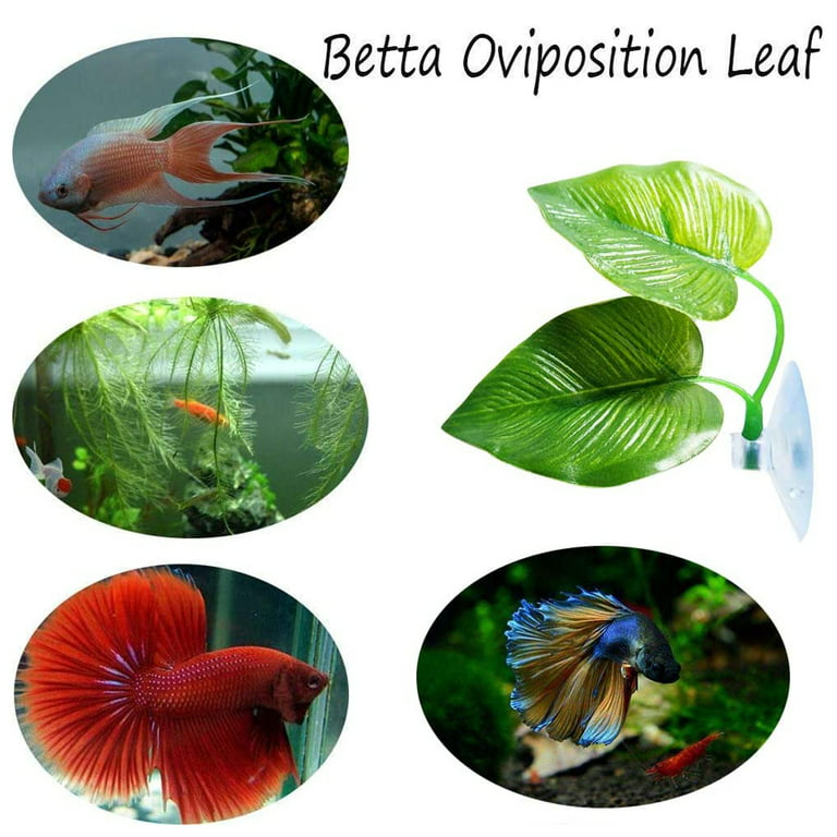 Betta Leaf Silicone Hammock Peace Plant Accessories, Betta Fish Leaf Rest  Bed, Betta Tank Decor (Pack of 30) for Small Fish Tanks, Large Fish Tanks