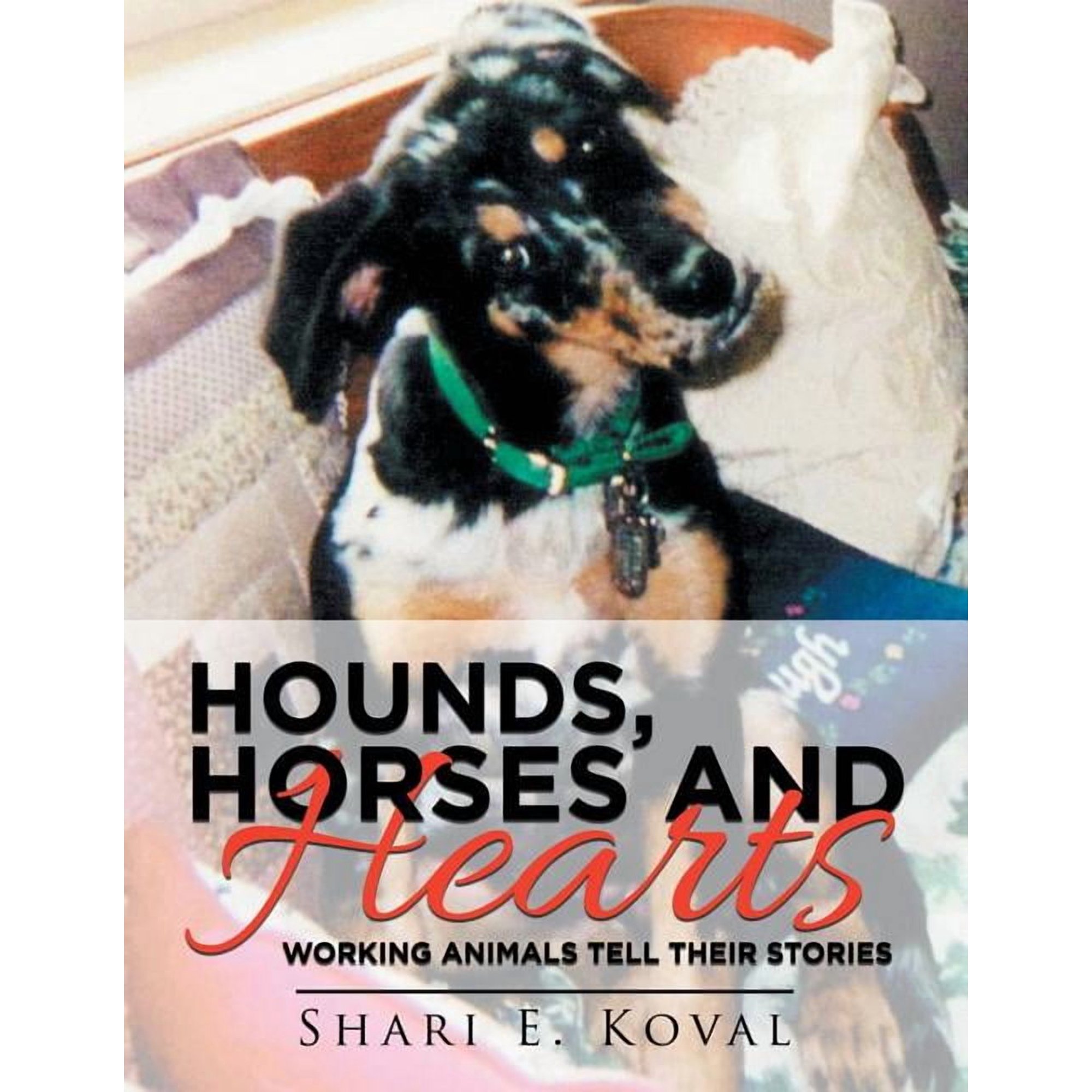 Hounds Horses and Hearts: Working Animals Tell Their Stories (Paperback)