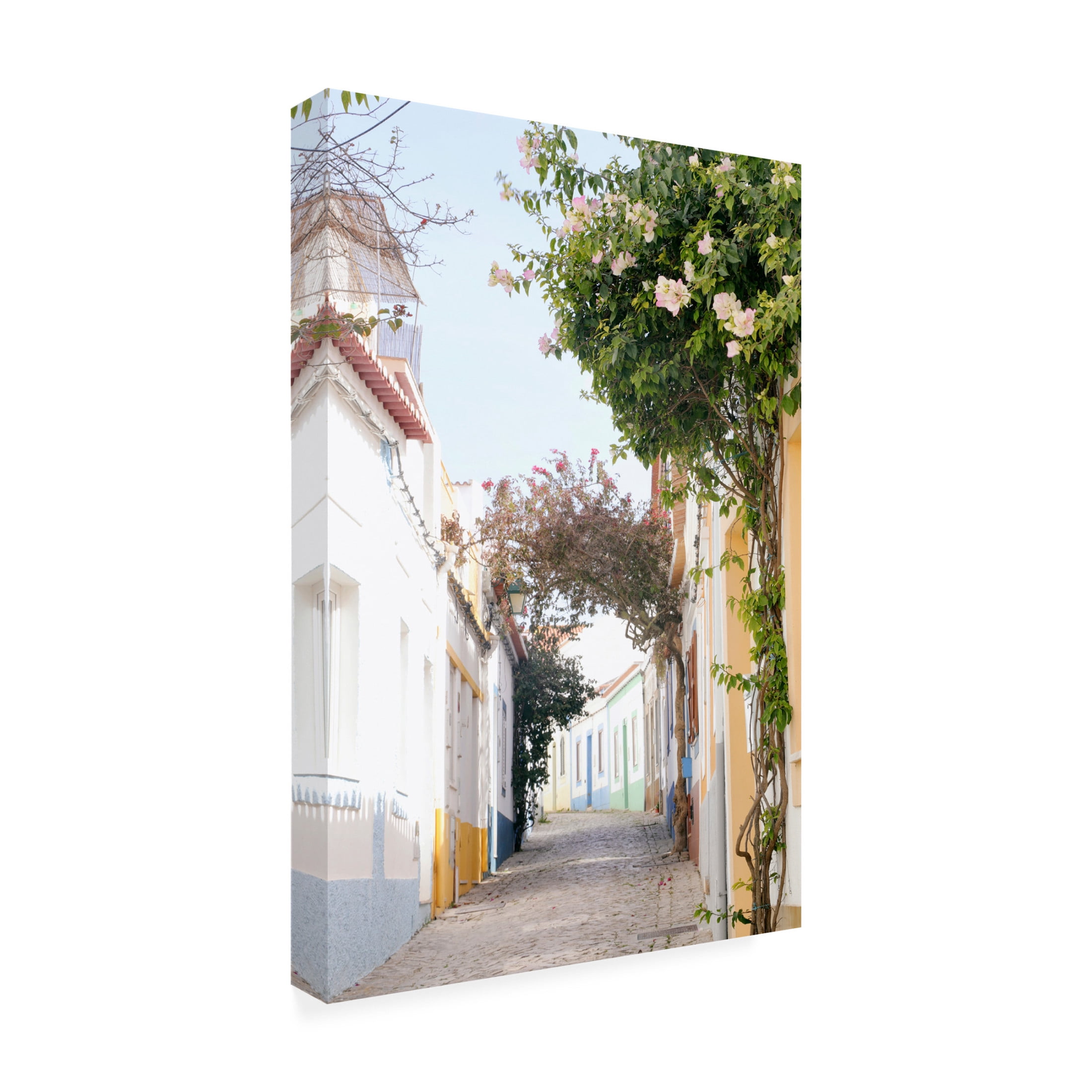 Canvas Wall Art - Carina Okula 'Portuguese Perfection' Wall Art for Living Room, Bedroom, or Office Décor by Trademark Fine Art - 16 x 24 Inches
