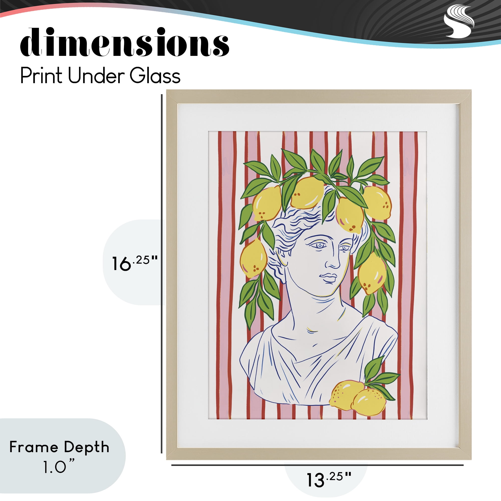 Stupell Industries La Limona Sculpture Face Birch Framed Print Under Glass, design by Radhika Modi