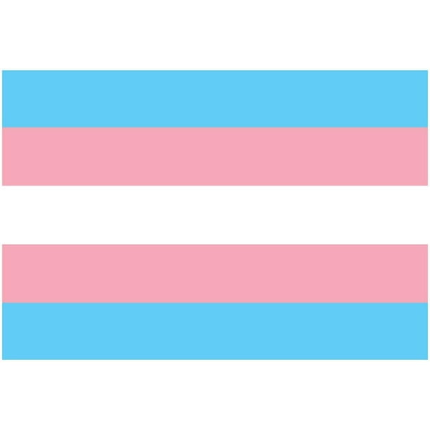 Transgender Pride Flag Poster 19x13