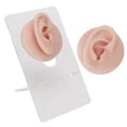 thumbnail image 3 of High Simulation Silicone Eye Model For Lifelike  Practice With Wide Application, Convenient Bracket, And Improved Skills, 3 of 8
