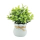 thumbnail image 2 of Pequeñas plantas artificiales, bonsáis artificiales, decoración de mesa, centro de mesa, Blanco, 2 of 9