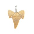thumbnail image 5 of Colgantes Charm Bright Creations con forma de diente de tiburón, 12 unidades, 2 x 2,5 cm, 5 of 5