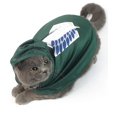 thumbnail image 1 of Disfraz de mascota Impoosy Cat, ropa de Halloween para perro pequeño, 1 of 6
