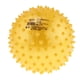 thumbnail image 5 of 2 Uds 6 Pulgadas PVC Inflado Knobby Bouncy Ball Masaje Sensorial Pelota Niños Juguete Sunnimix Bola hinchable Amarillo Verde, 5 of 8