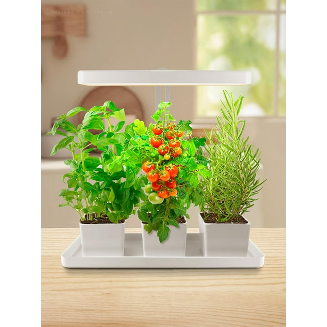 TORCHSTAR Indoor Herb Garden with LED Grow Light, Height Adjustable, 20W Growing System with Automatic Timer, CRI 95+, Full Spectrum Plant Light for