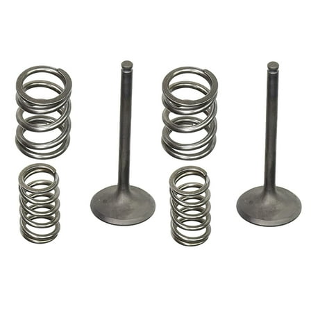 Pro-X Steel Exhaust Valve & Spring Kit (28.SES4406-1)