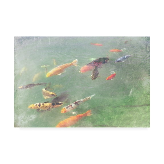 Trademark Fine Art 'Koi Reflections I' Canvas Art by Alicia Ludwig