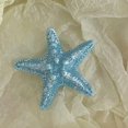 thumbnail image 2 of Stable Grip Hair Clip 5pcs Girls Hairpin Set with Starfish Shape Hair Clip Stable Grip Macaron Colors Trendy Summer Hair for Beach for Women, 2 of 8
