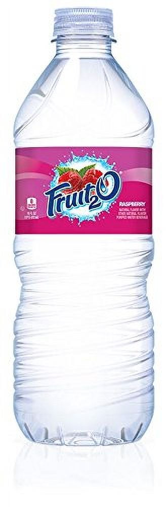 Fruit2O Zero Calorie Flavored Water, Raspberry, 6 Count (Pack of 4)