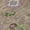 Brown, variant on Addison Rugs Chantille Indoor/Outdoor Traditional Global Brown Machine Washable Rectangle Rug, 10' x 14'