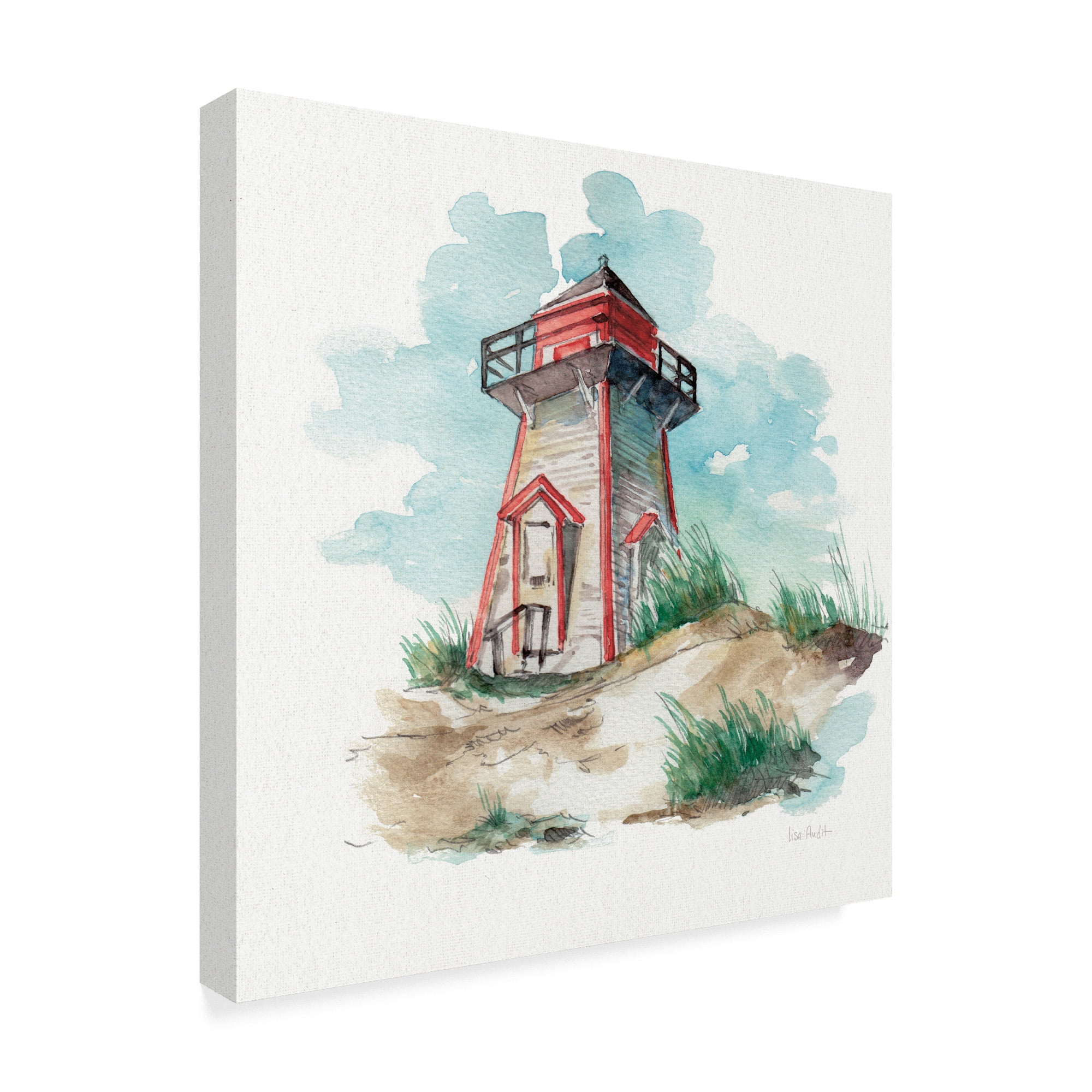 Trademark Fine Art 'In the Moment III' Canvas Art by Lisa Audit