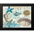 thumbnail image 2 of Allen, Candace 18x15 Black Modern Framed Museum Art Print Titled - Dream Shells R1, 2 of 5