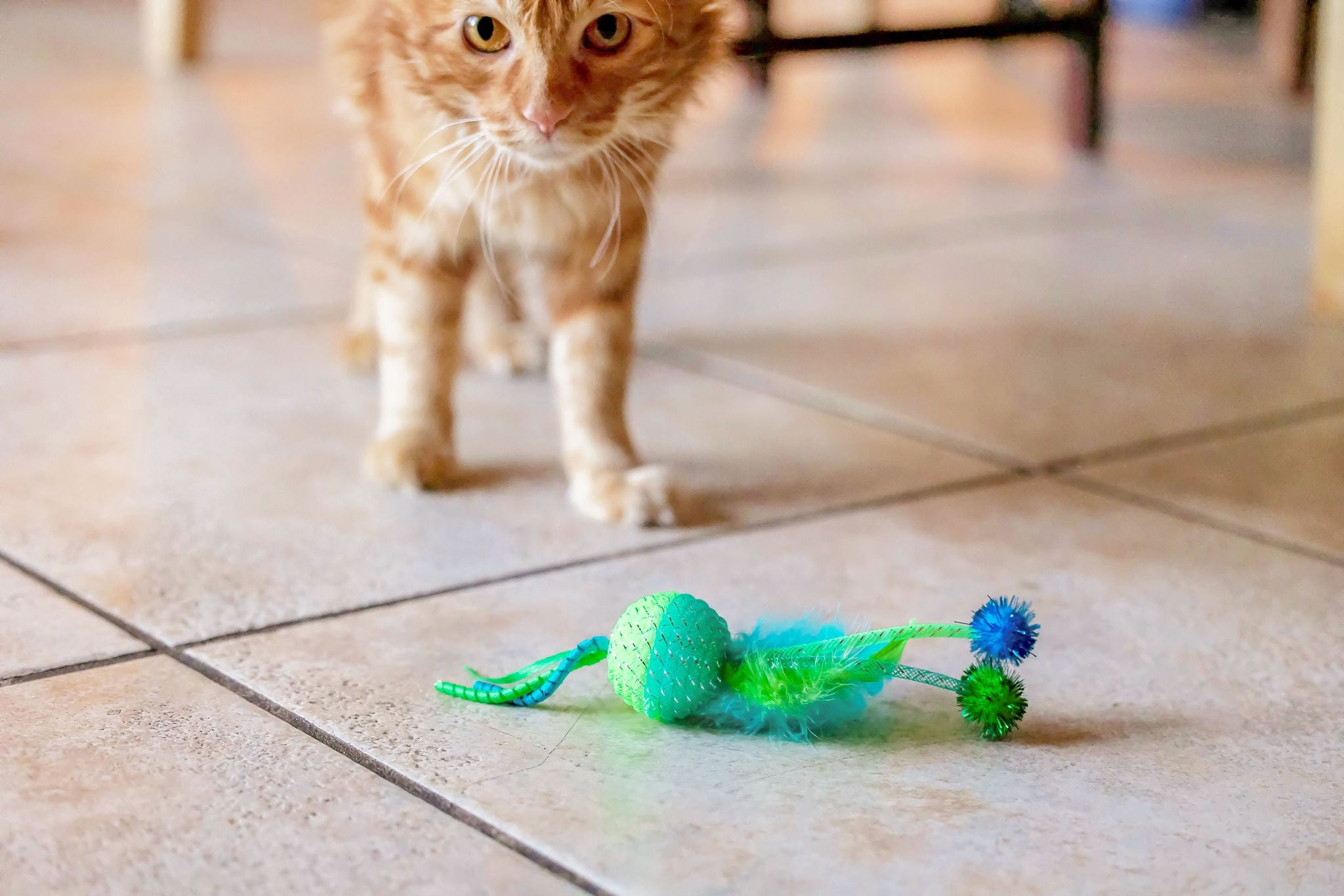 (2 pack) Vibrant Life Mesh Feather Ball Cat Toy, Green/Lime