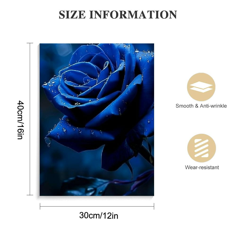 JRXY Blue Rose Wall Art Rose Flowers Blossom on the Black
