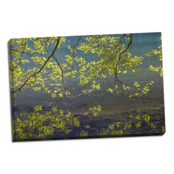 Gango Home Decor Contemporary Overhanging Alder Trees I by Kathy Mahan (Ready to Hang); One 36x24in Hand-Stretched Canvas