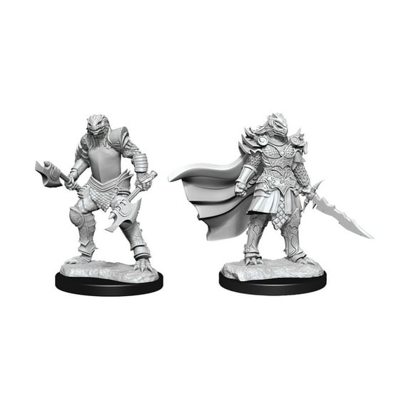 D&D Nolzur's Marvelous Unpainted Minis: W15 Female Dragonborn Fighter