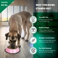 thumbnail image 3 of Iconic Pet Color Splash Stripe Non-Skid Pet Bowl 64 Oz, Pink, 3 of 8