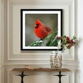 thumbnail image 2 of DIY 5D Diamond Painting Kit (For Adults) Diamond Painting "Cardinal Bird" - Full Diamond Crystal Rhinestone Embroidery Craft Kit, Can Be Used as Gift, Wall Decoration, 2 of 7