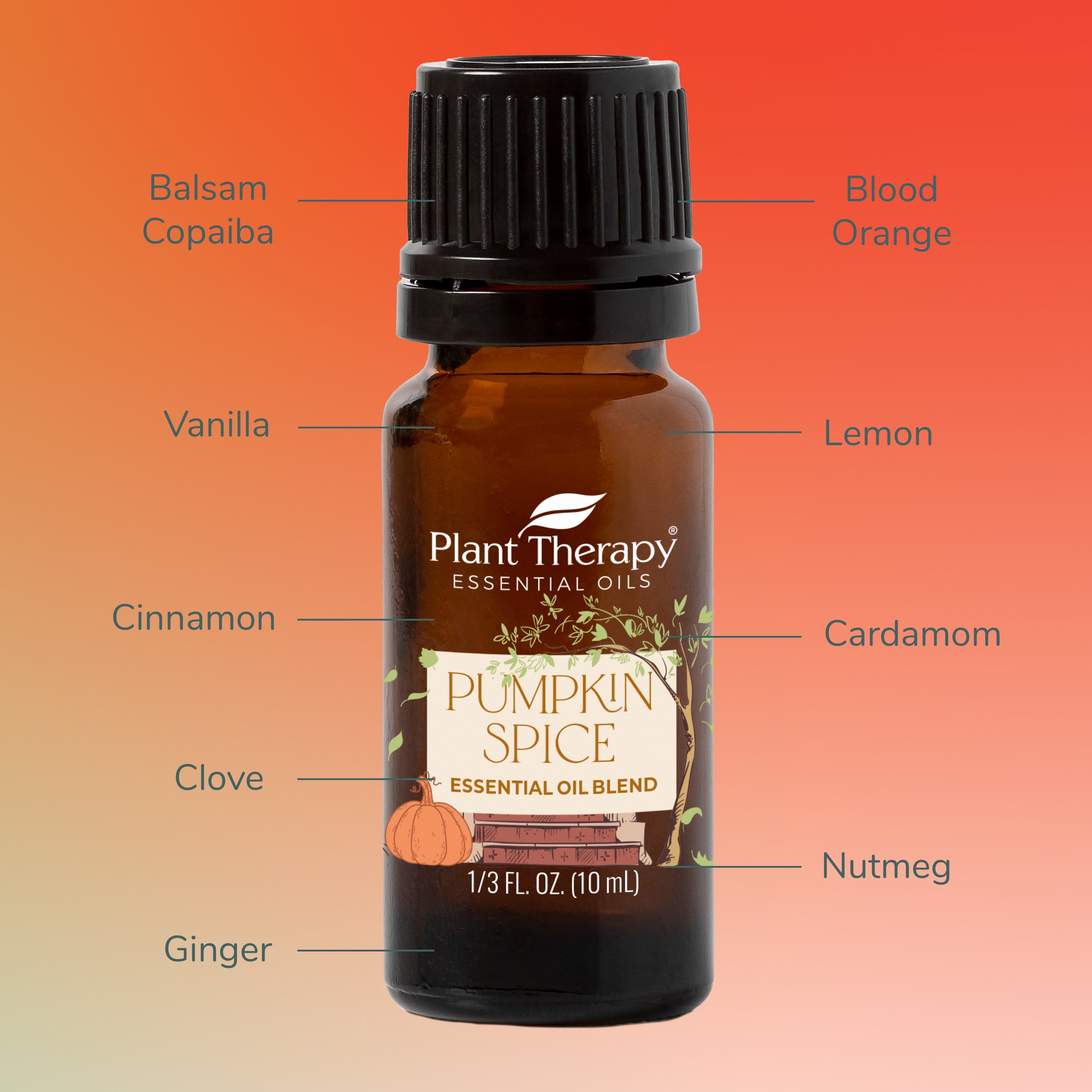  Plant Therapy Sugar Cookie Holiday Essential Oil Blend 100%  Pure, for Aromatherapy Diffuser, DIY Candles, Room Spray, Gifts & More,  Undiluted, Natural Aromatherapy, Therapeutic Grade 10 mL (1/3 oz) : Health  & Household