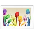 thumbnail image 2 of Art.com Floral Rainbow Splurge Photo by Albert Koetsier, White Frame Wall Art, 29" x 21", 2 of 5