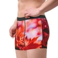 thumbnail image 4 of Disketp Autumn Maple Leaves Men'S Boxer Briefs,Soft And Breathable Cotton Underwear With Comfortflex Waistband, 4 of 9