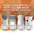 thumbnail image 3 of Recambio de aceite perfumado Air Wick Plug In, 10 unidades, para hoguera y vainilla, 3 of 6