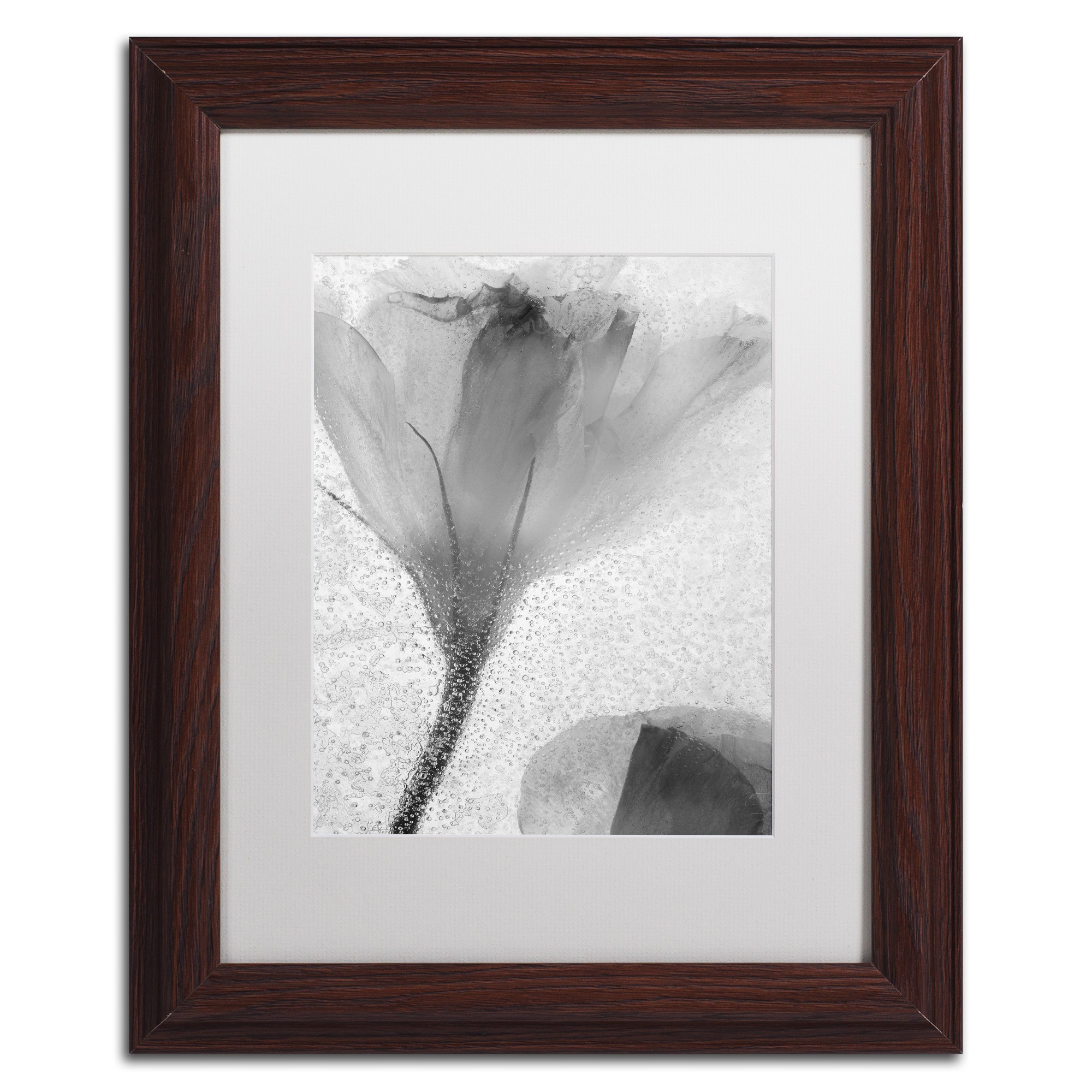 Moises Levy 'Flowers on Ice-13' Matted Framed Art