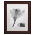 thumbnail image 2 of Moises Levy 'Flowers on Ice-13' Matted Framed Art, 2 of 5