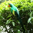 thumbnail image 5 of Large Fake Artificial Parrot Feathered Realistic Garden Decor Home HOT R6B1, 5 of 9