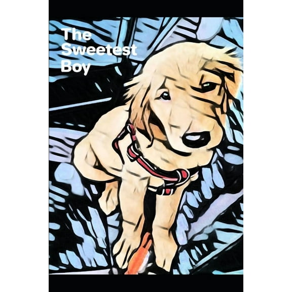 The Sweetest Boy (Paperback)