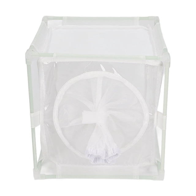 Cage d'Observation, Boîtier Léger Durable Réutilisable pour Cigale en Forme de Manchon