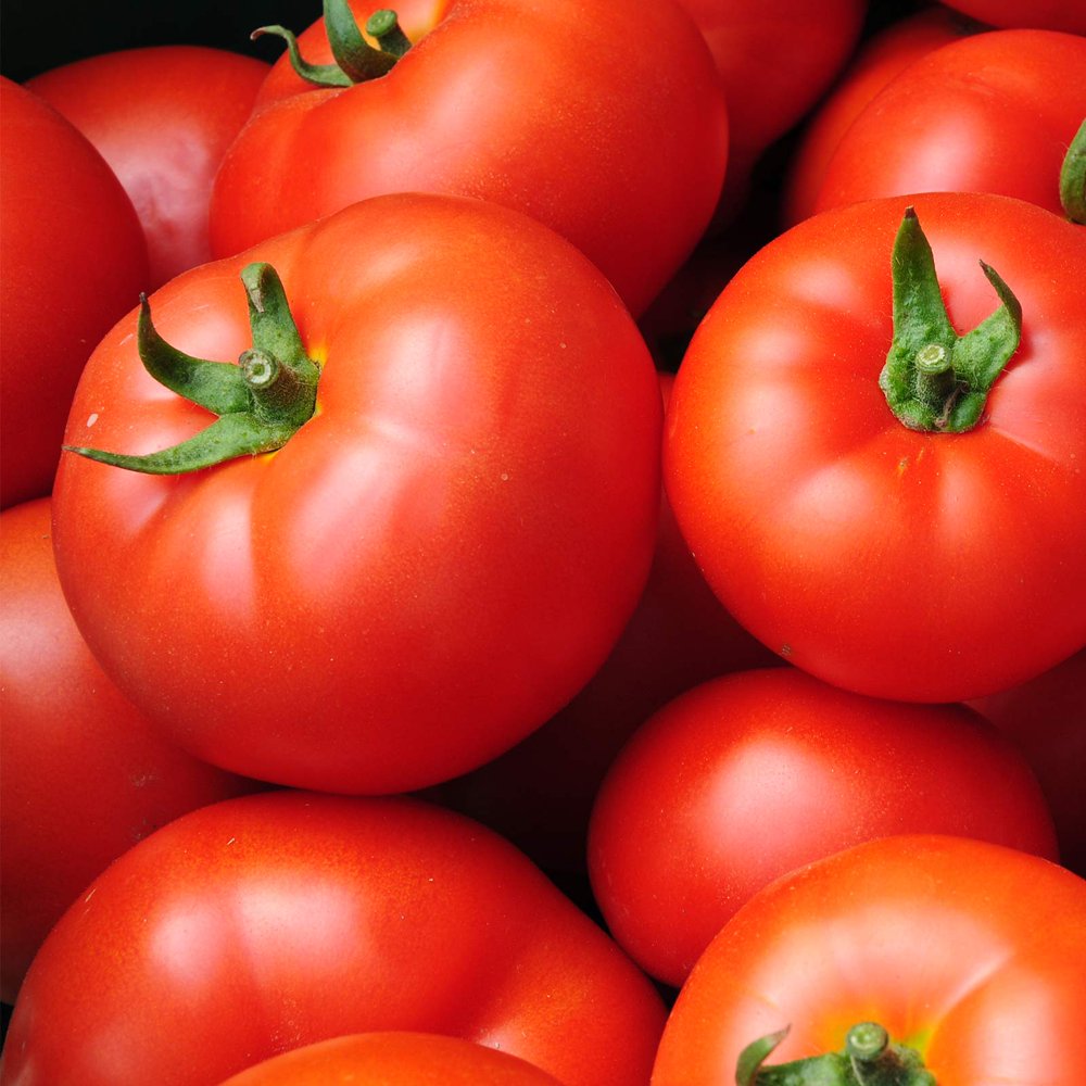 Томат f1 сушка. Tomato girl. Tomato girl. Человек томат. Тошино кёко помидорка.